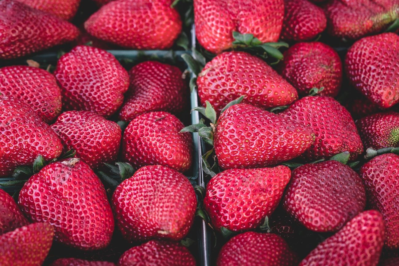 A Slow Saturday: Farmers Market, the Lake and Two Naps